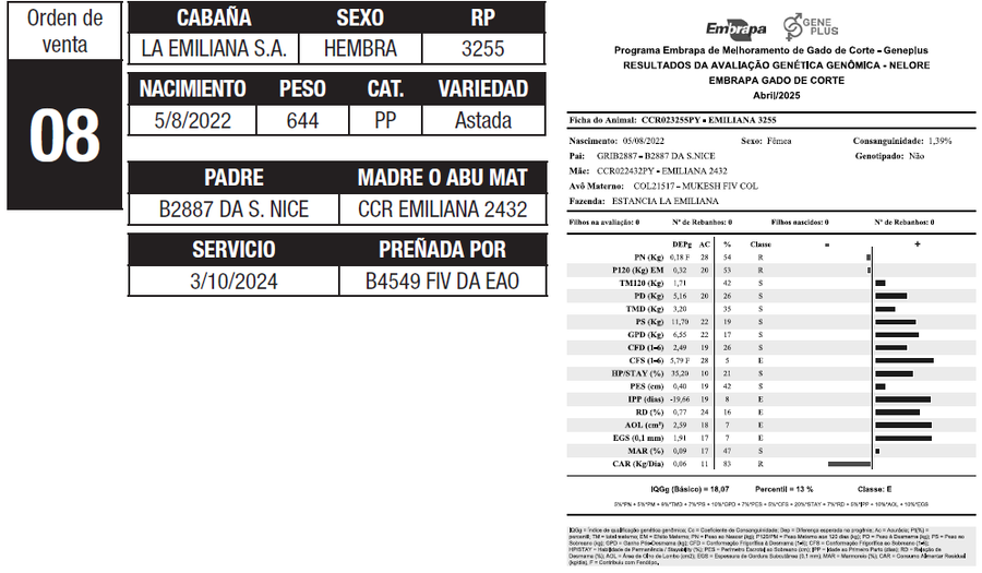Lote LOTE 8