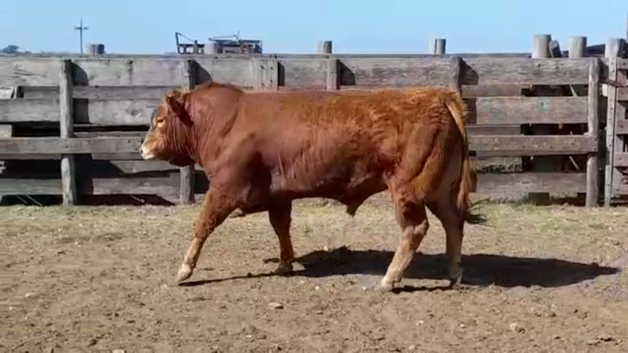 Lote LA ESPERANZA 72