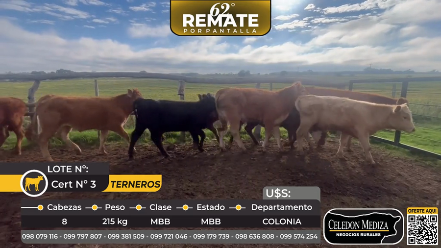 Lote 8 Terneros en Puerto Conchillas, Colonia