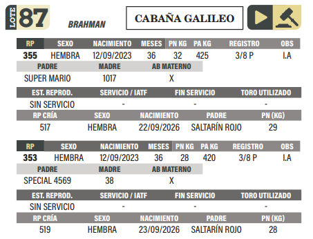 Lote LOTE 87