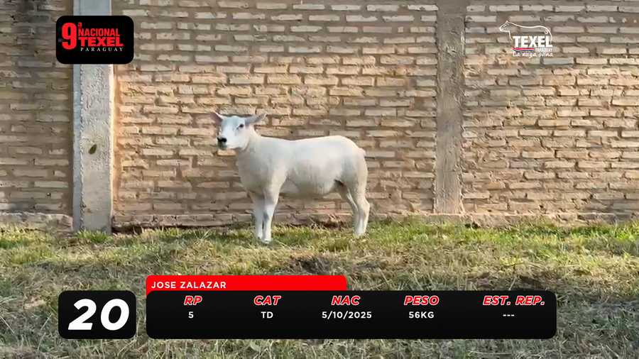 Lote LOTE 20