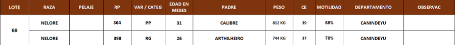 Lote LOTE 69