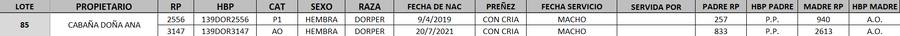 Lote LOTE 85