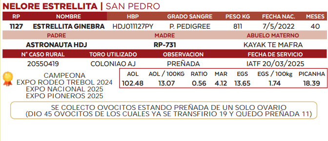 Lote LOTE 47