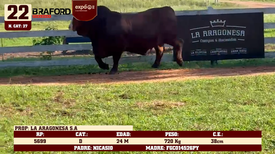 Lote LOTE 22
