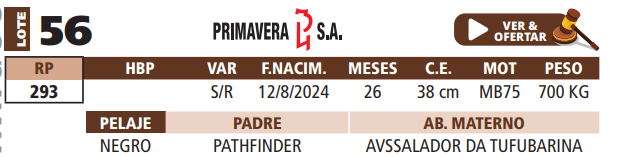 Lote LOTE 56