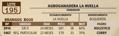 Lote LOTE 195 - VIVO