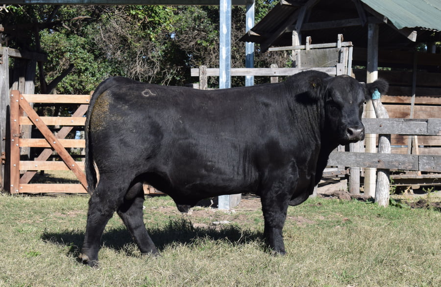 Lote CABAÑA “COEMBOTÁ” de Calderón RP 132