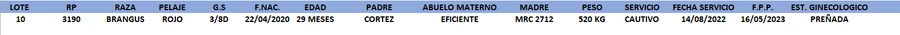 Lote LOTE 10