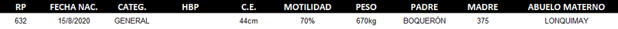 Lote LOTE 41