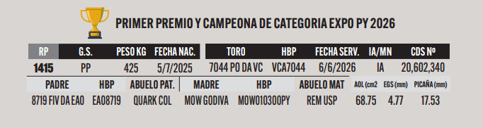 Lote LOTE 36
