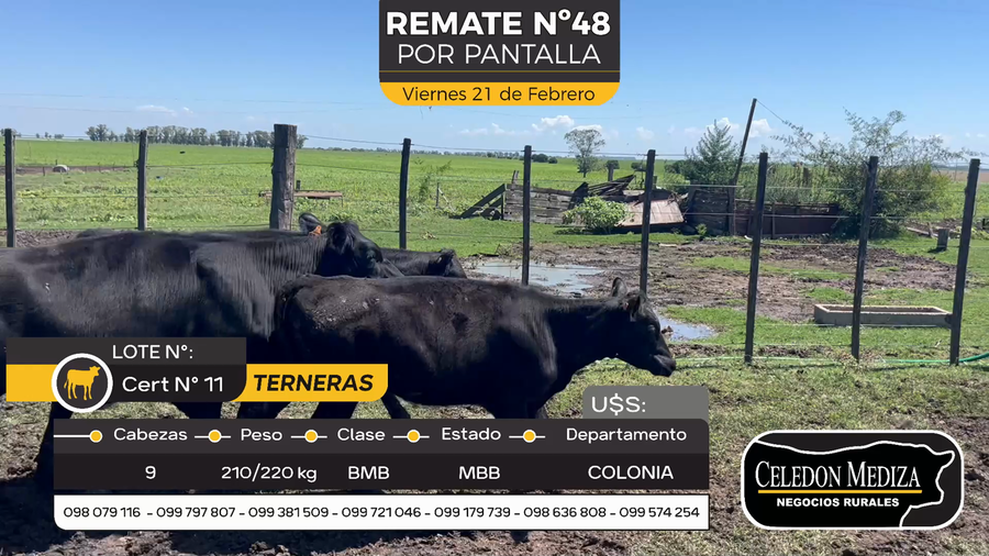 Lote 9 Terneras en Otra Localidad, Colonia