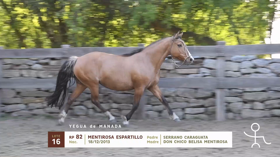 Lote MENTIROSA ESPARTILLO