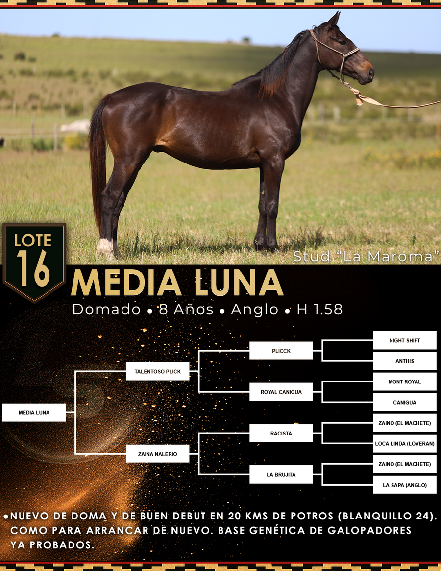 Lote MEDIA LUNA