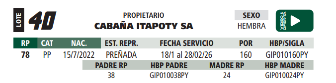 Lote LOTE 40