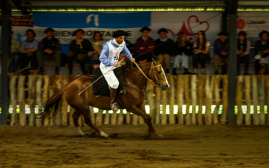 Lote IRENITA COMBATIENTE