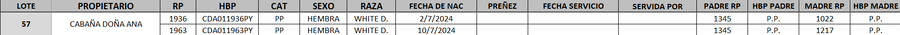 Lote LOTE 57- DESTACADO