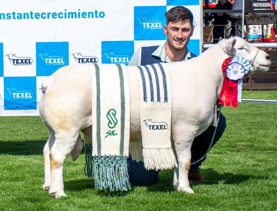 Lote PAQUETE DE 12 SERVICIOS (INSEMINACIÓN)