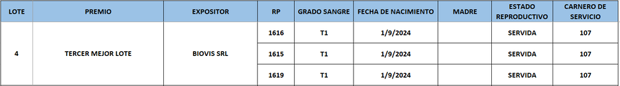 Lote LOTE 4