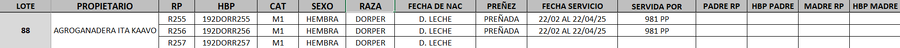 Lote LOTE 88