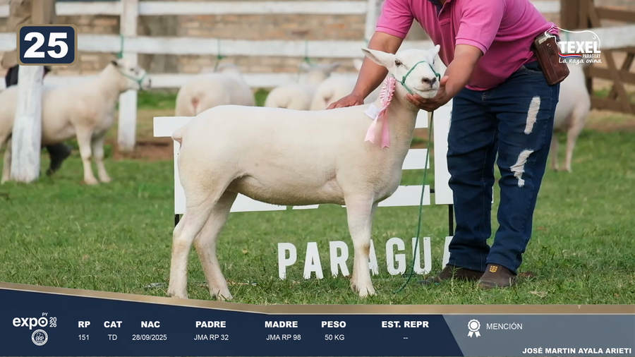 Lote LOTE 25