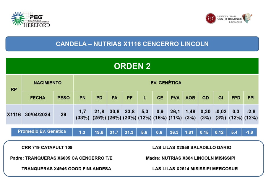 Lote Terneras PP