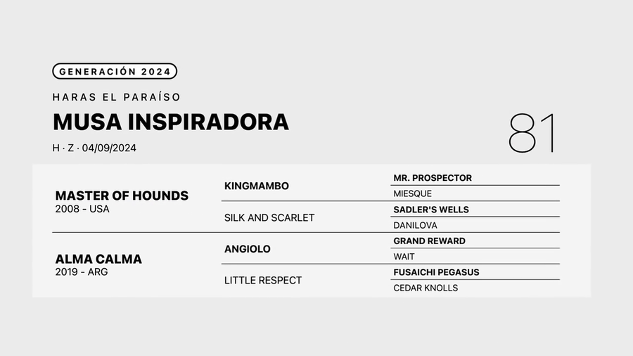 Lote MUSA INSPIRADORA