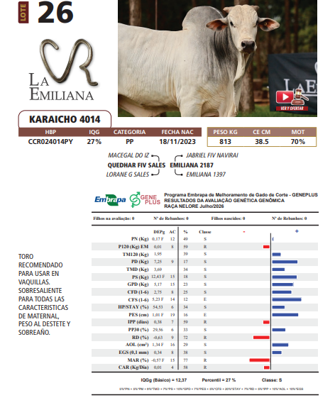 Lote LOTE 26