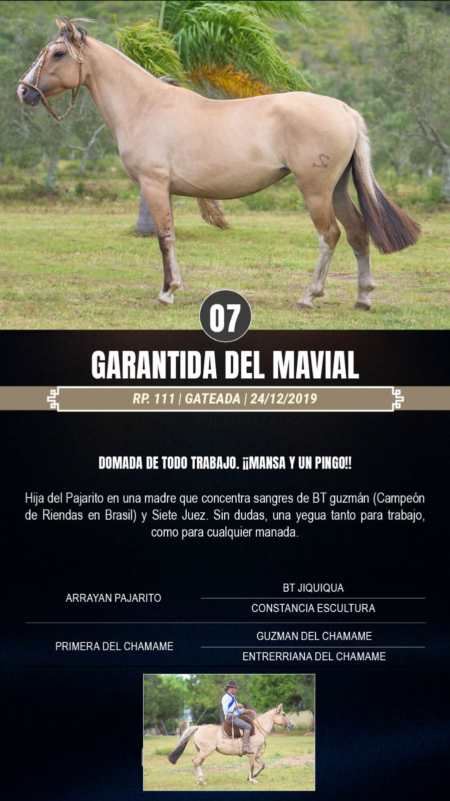 Lote Garantida del Mavial