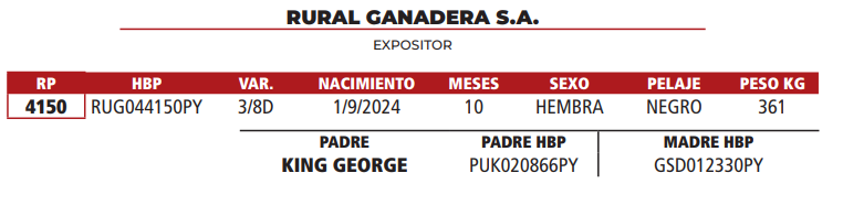 Lote LOTE 12