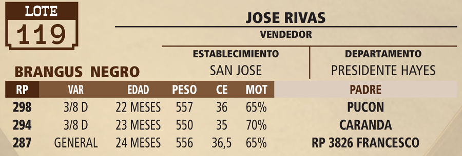 Lote LOTE 119 - VIVO