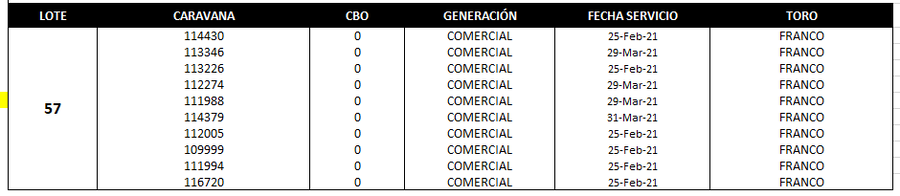 Lote Reproductores de Alborada - Lote 57