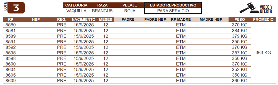 Lote LOTE 3