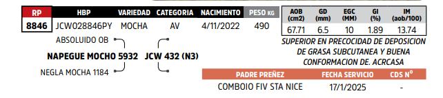 Lote LOTE 80