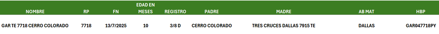Lote LOTE 9