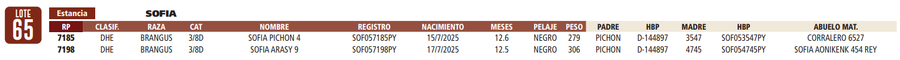 Lote LOTE 65