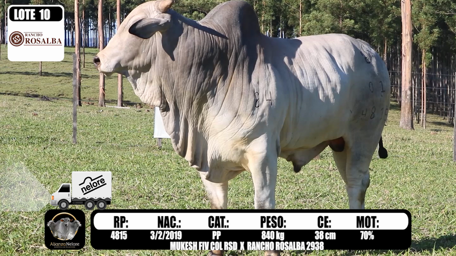 Lote LOTE  10-RP 4815