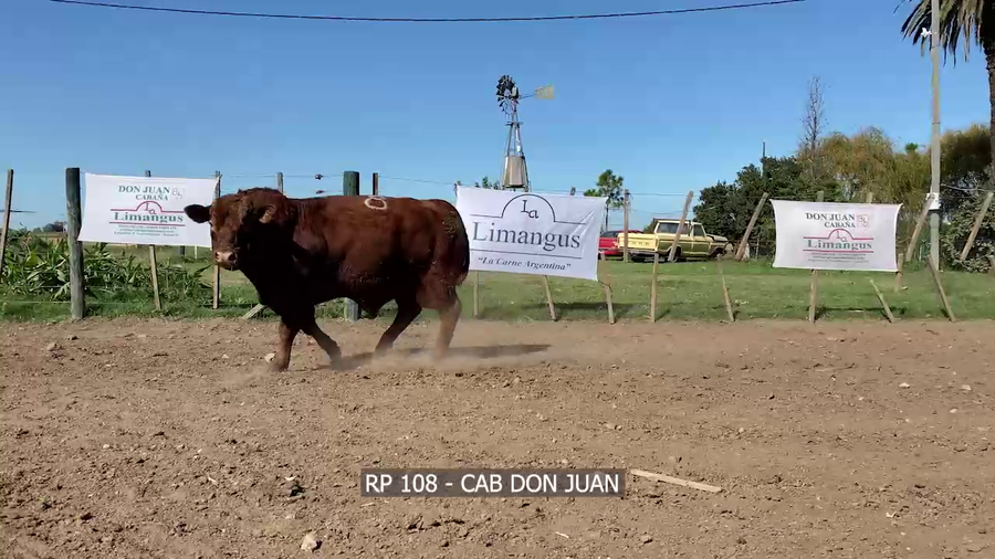Lote RP 108 DON JUAN