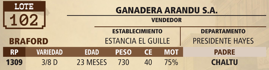 Lote LOTE 102 - VIVO