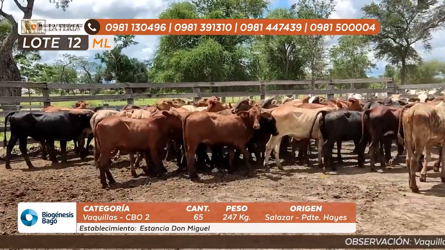 Lote ESTANCIA DON MIGUEL