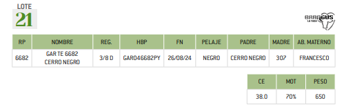 Lote LOTE 21