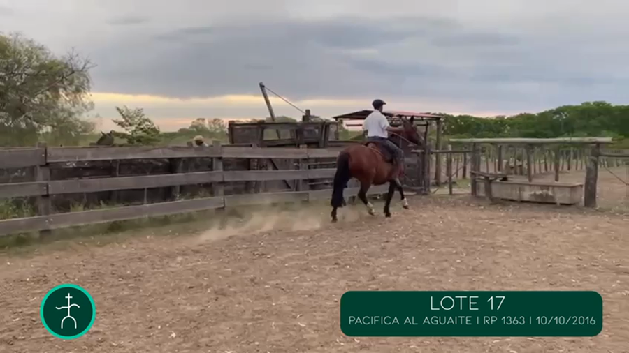 Lote PACIFICA AL AGUAITE