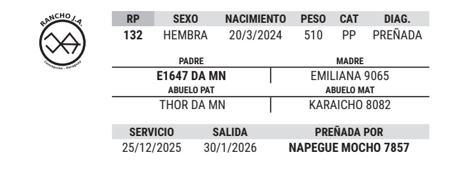 Lote LOTE 5