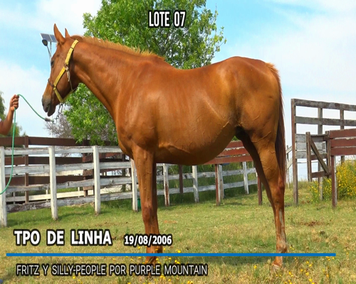 Lote TOP DE LINHA (BRZ)