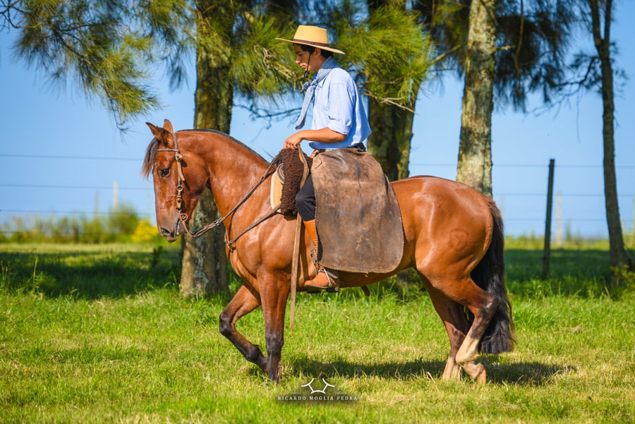 Lote El Gavilán Mato y Voy (RP 414) Cabaña "El Gavilán"