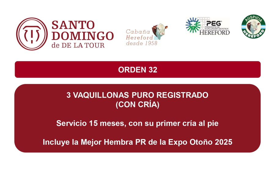 Lote VAQUILLONAS PR CON CRÍA - SANTO DOMINGO
