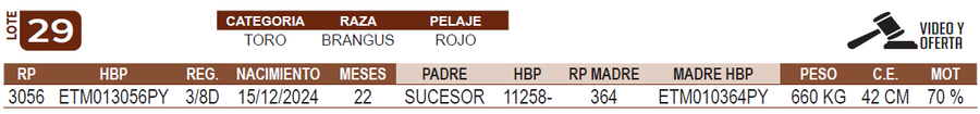 Lote LOTE 29