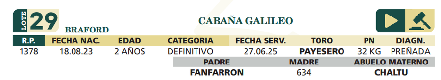 Lote LOTE 29