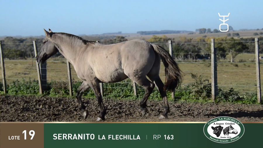 Lote SERRANITO LA FLECHILLA