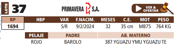 Lote LOTE 37